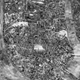 Image for article titled These Incredible Maps Were Made with Thousands of Photographs